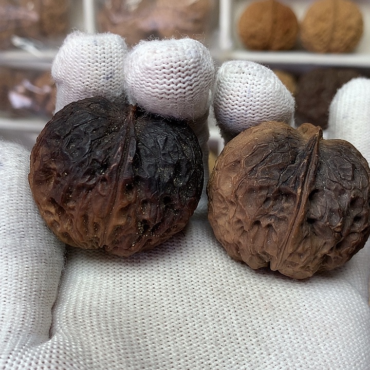 核桃39尺花彩小肉球16号