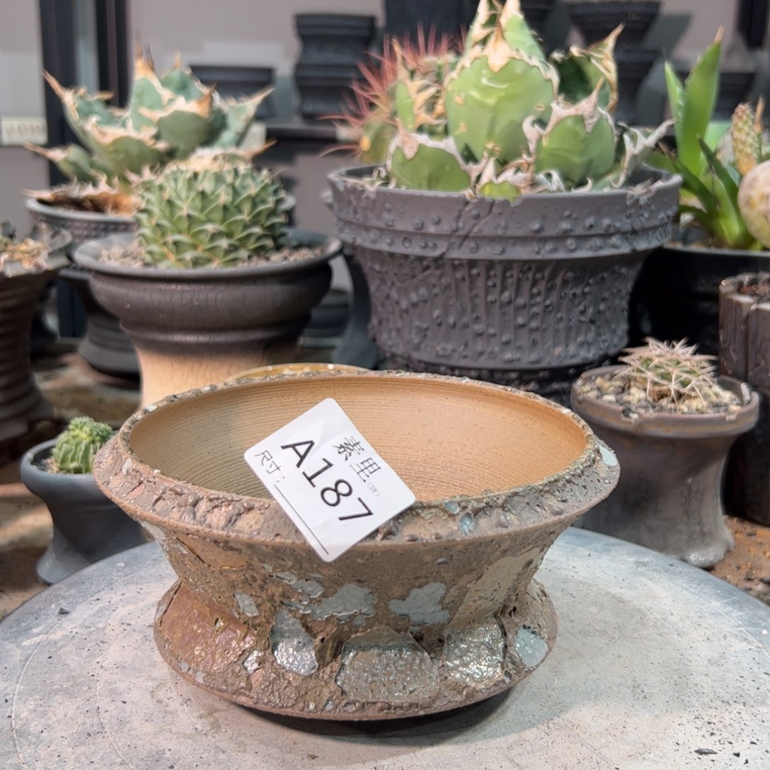 景德镇手工素里内面14.5高8