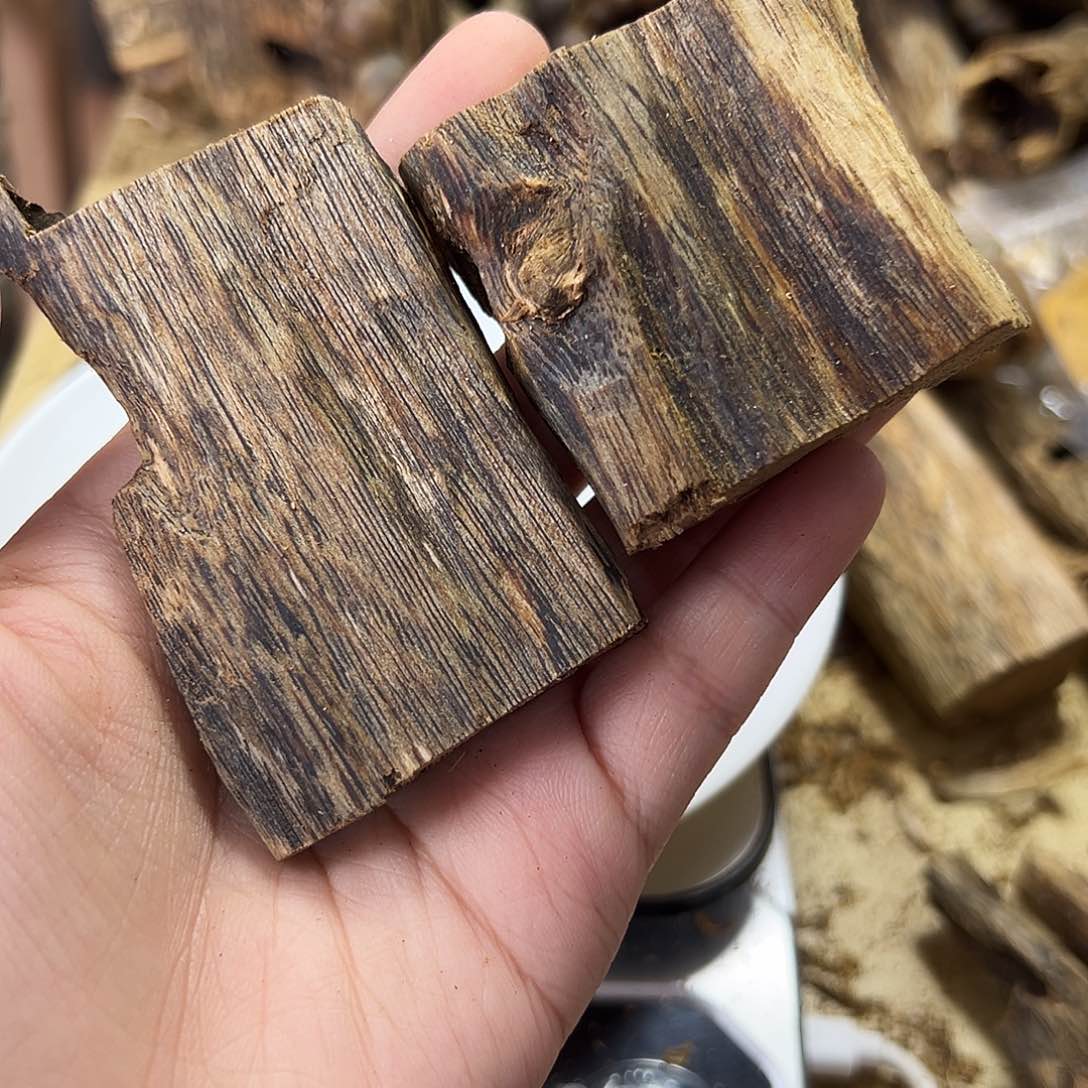 木绿奇楠虫漏31克