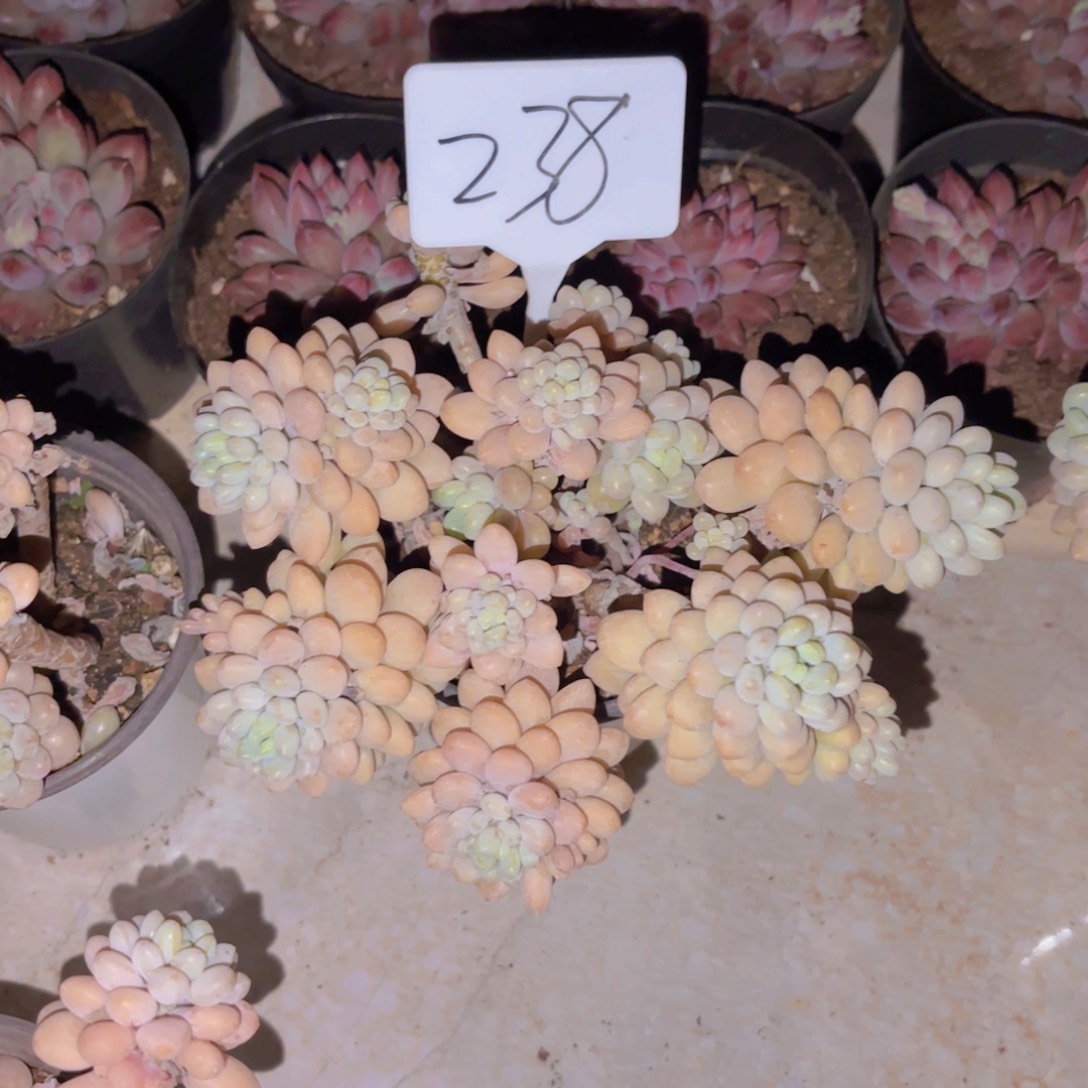 暖*我的小可爱们都好可爱