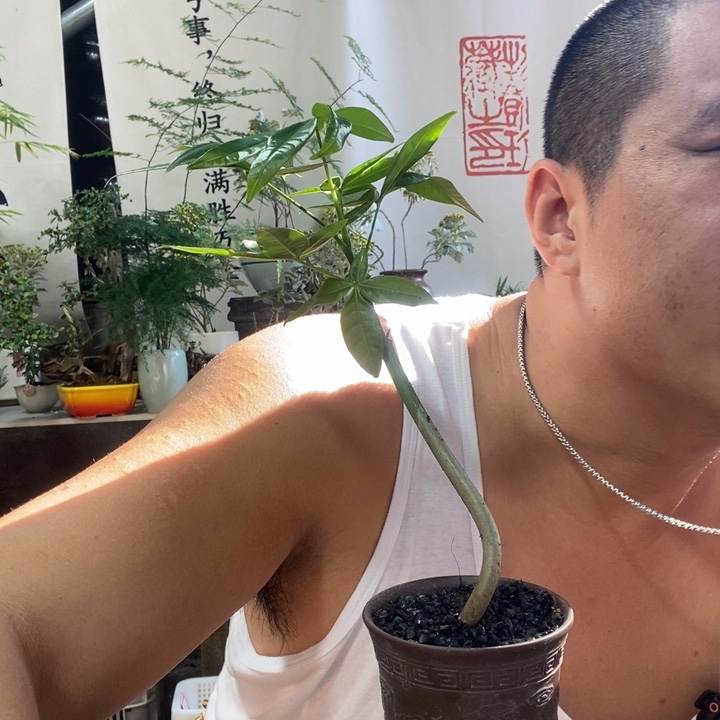 无花朵退款拉黑拉黑66