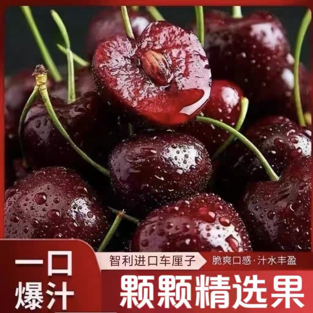 【今天拍明天到】智利空运进口桑提娜车厘子3-4JD鲜水果樱桃800g内附果径卡桑提娜樱桃智利共和国