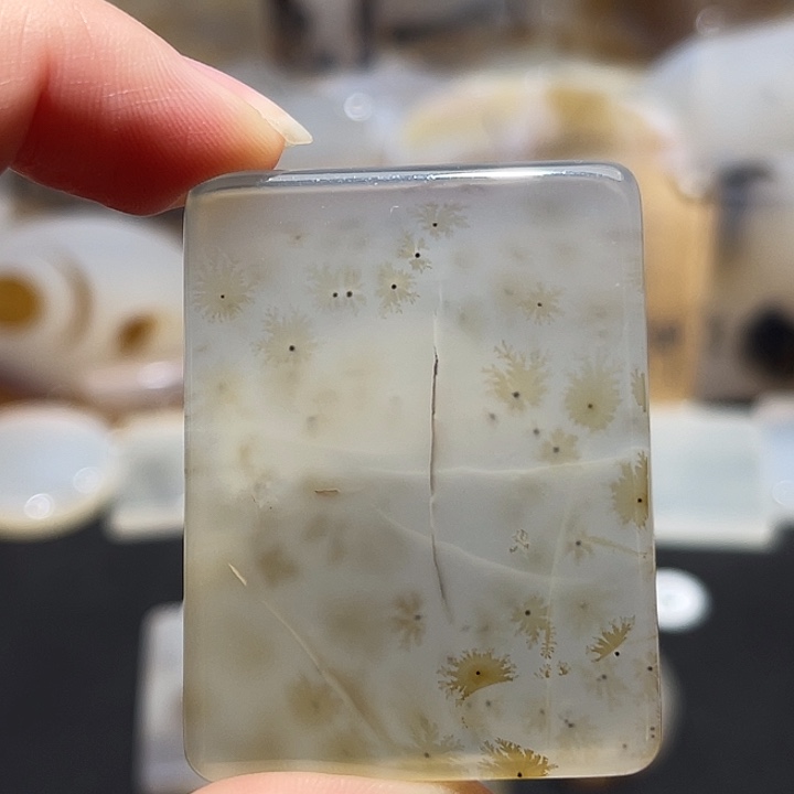 玛瑙/玉髓玉牌未镶嵌