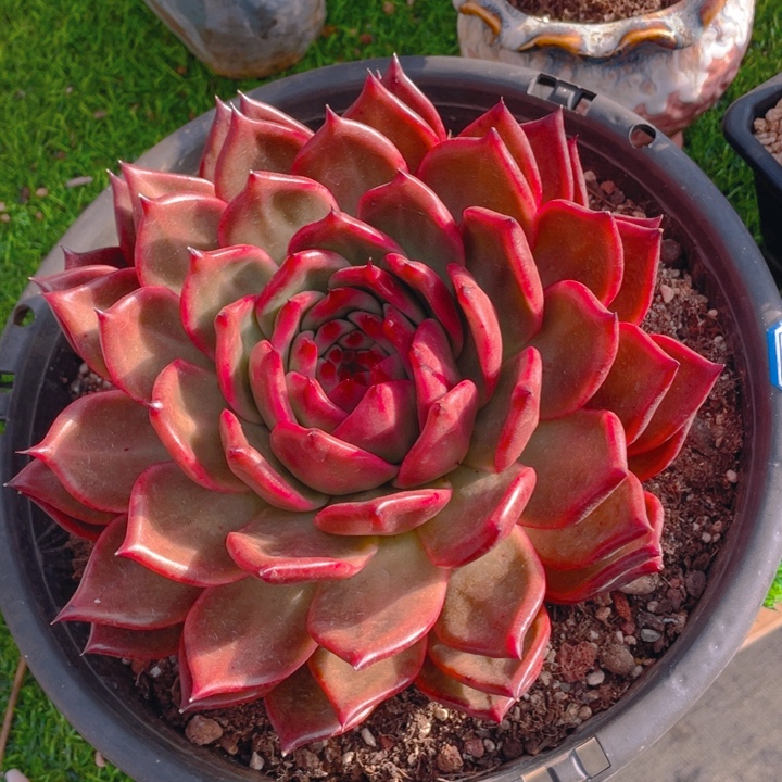 谢谢你的支持0000038.9