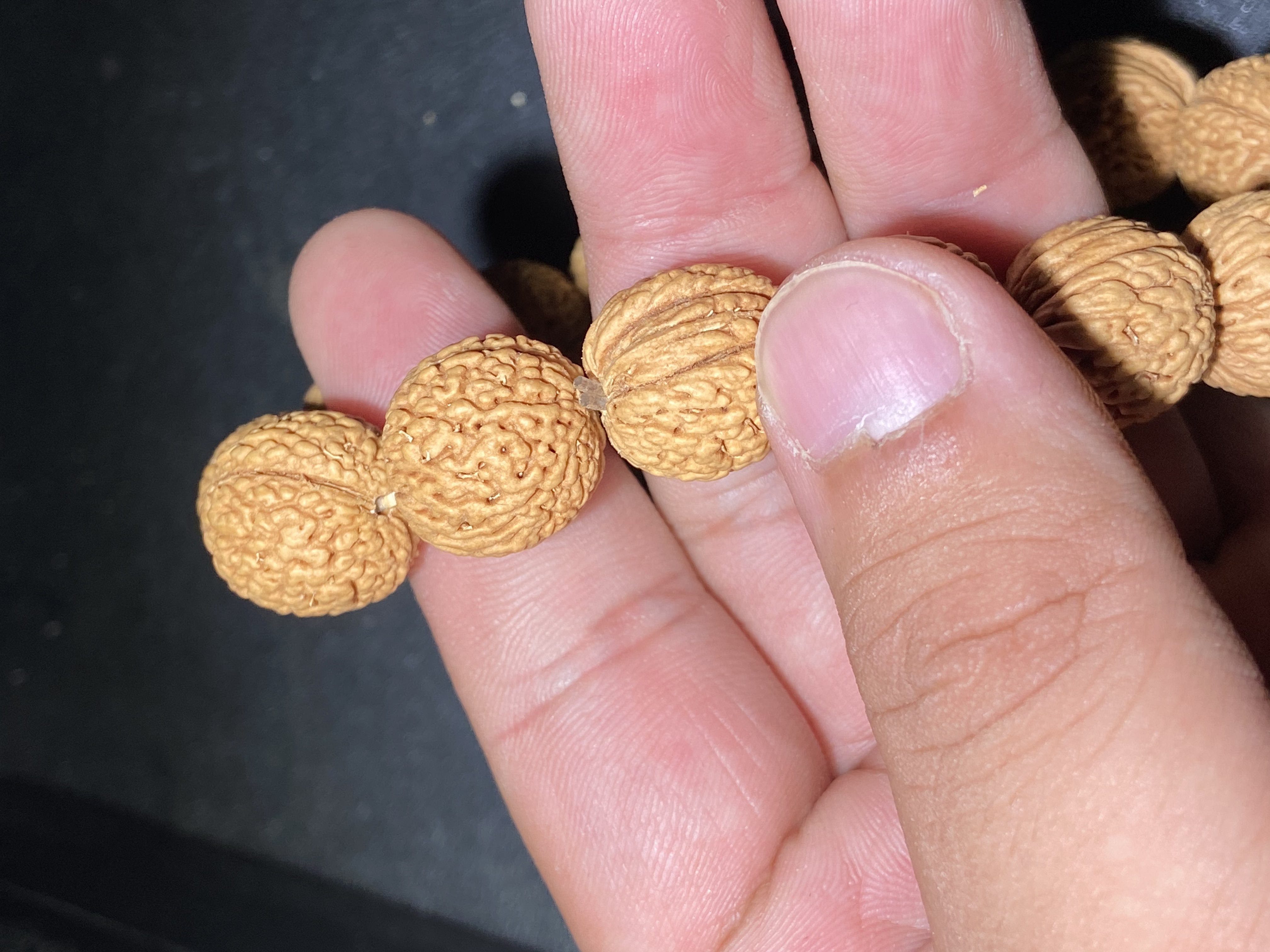 16左右蚂蚁纹桃核手串文玩老树新手老手