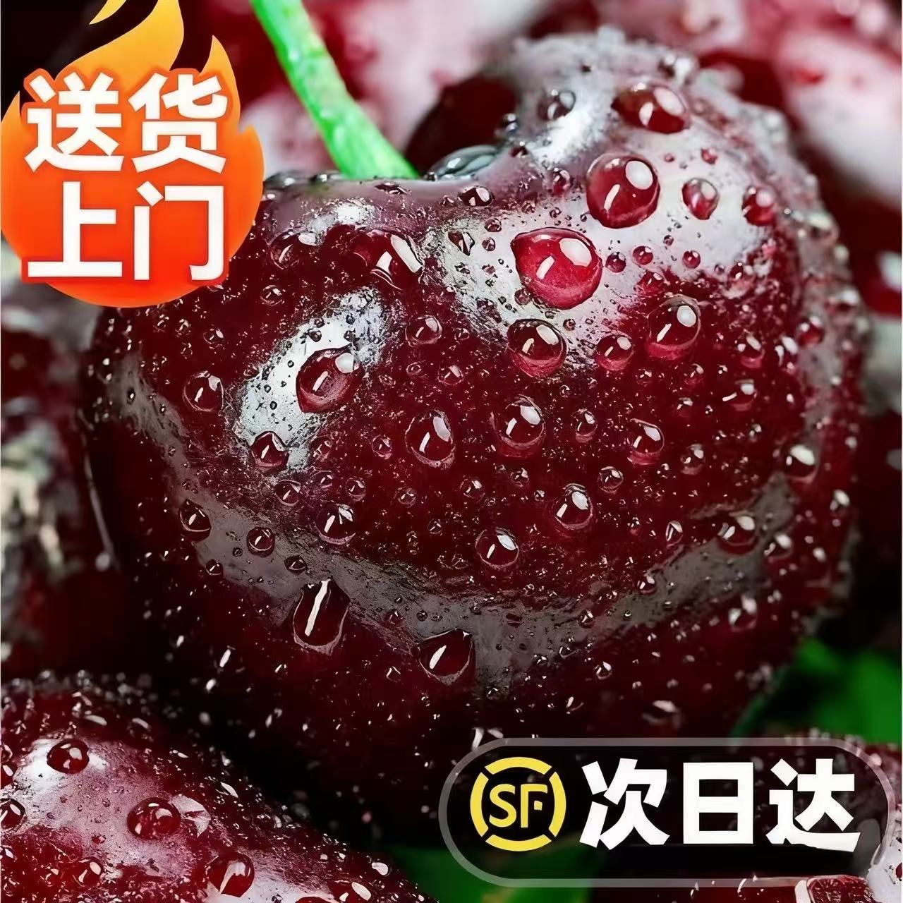 3J智利车厘子【今天拍明天到】WL桑提娜智利空运进口车厘子鲜水果孕妇水果内附果径卡800g桑提娜樱桃智利共和国