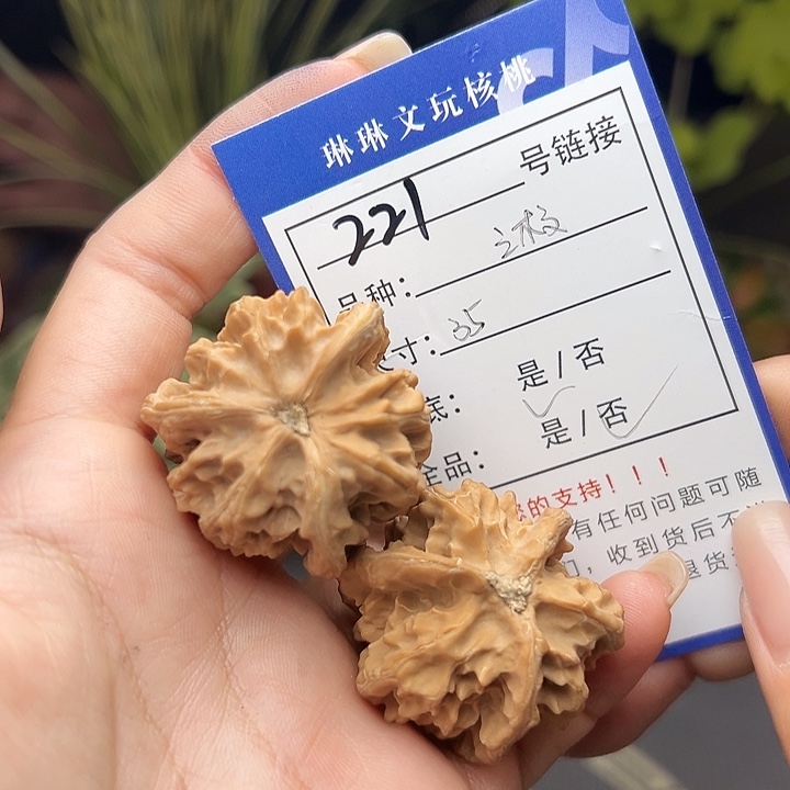 文玩核桃吊坠核桃树221