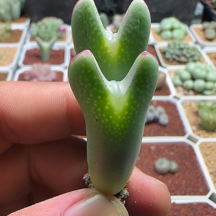 哈哈哈哈哈哈哈。 268