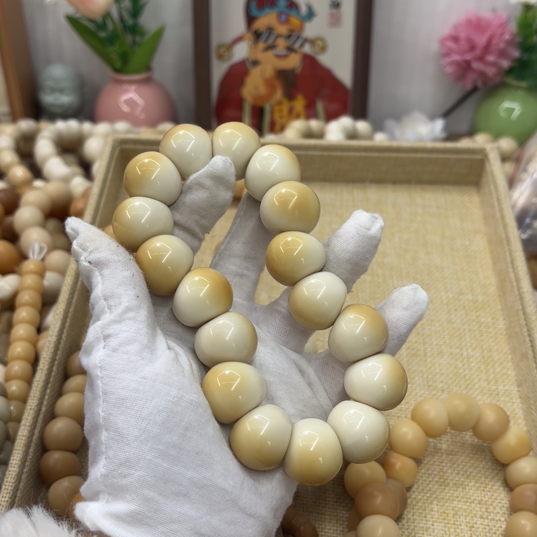 菩提根/象牙果吊坠22干磨牙果晕色胖墩肠362