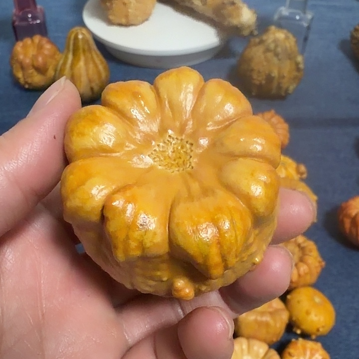 男***爱墨西哥七彩疙瘩葫芦