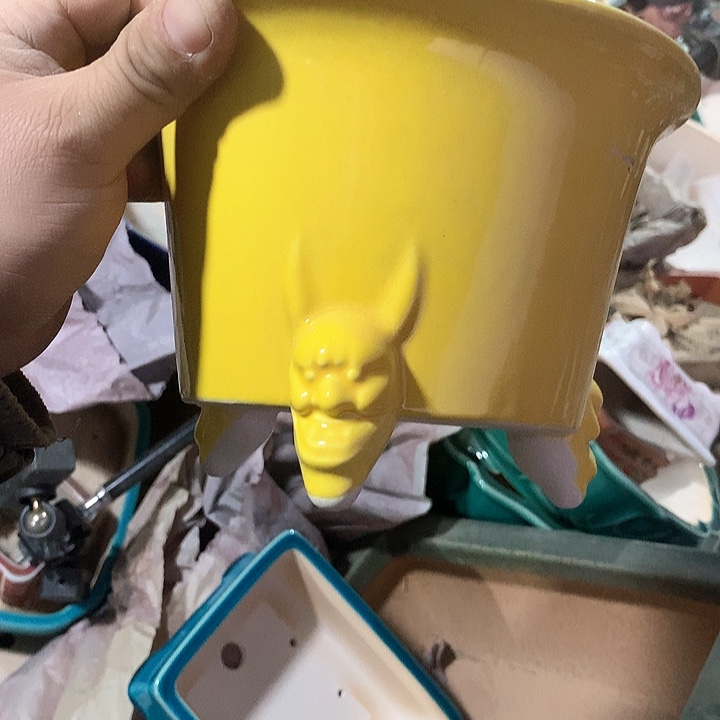 紫砂没有你喜欢吃