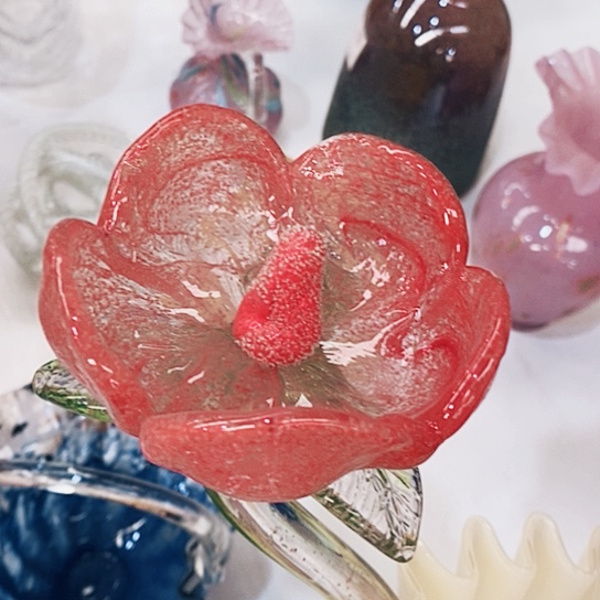 琉璃夜光花高45厘米