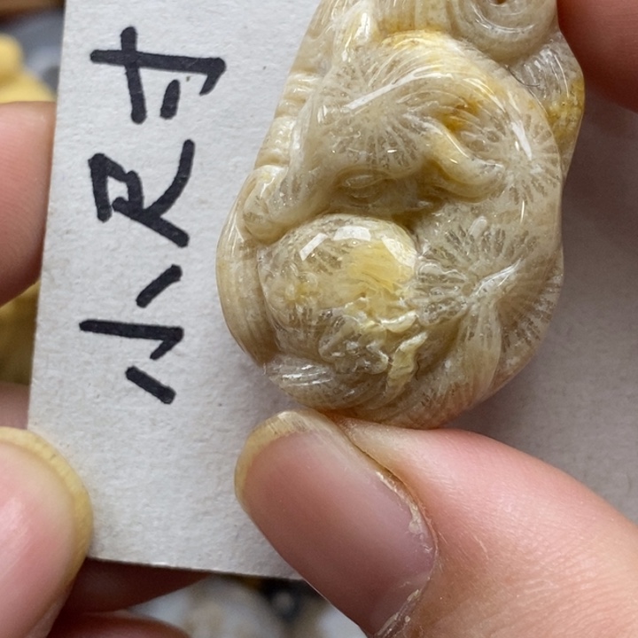 硅化珊瑚（珊瑚玉）未镶嵌颈饰