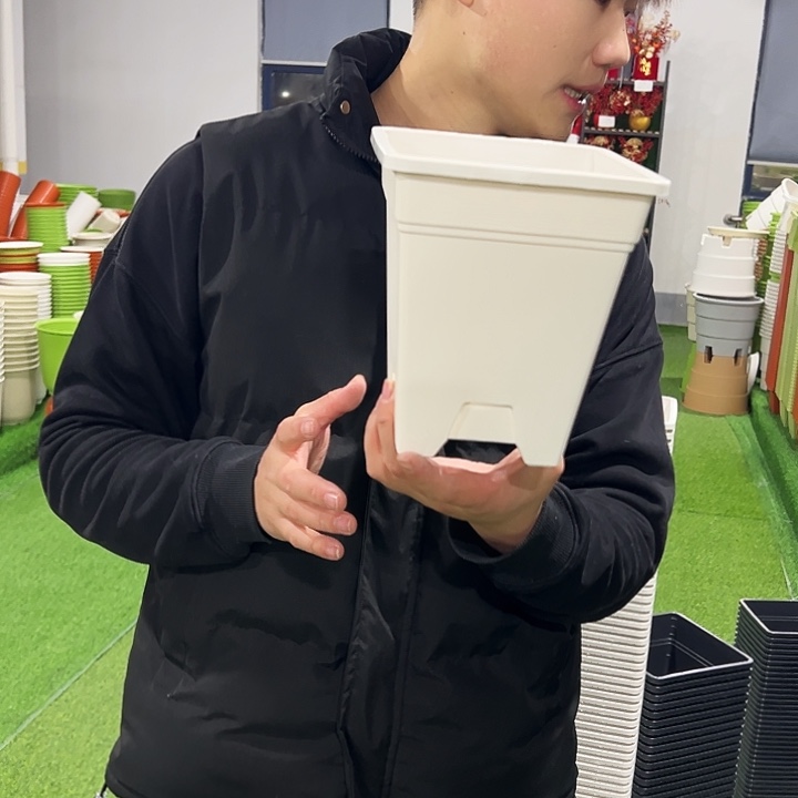 正品方盆口16高18白色10只无托