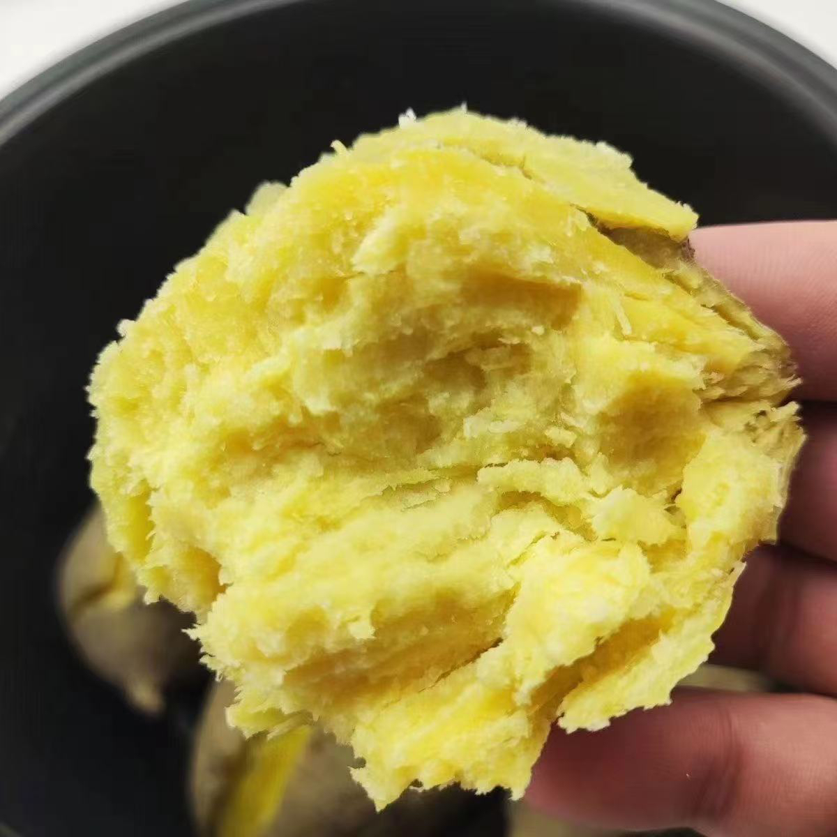 潮汕正宗黄心板栗香地瓜