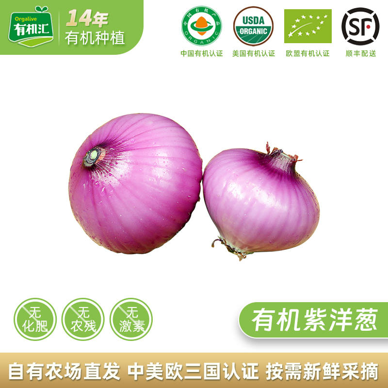 有机紫洋葱新鲜有机蔬菜圆葱白洋葱生吃西餐沙拉葱头3斤5斤装