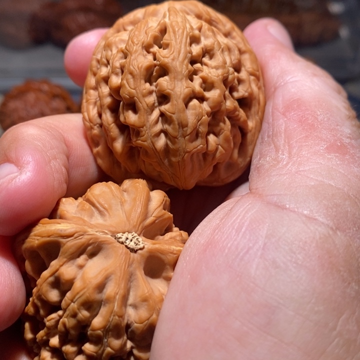 寻***材文玩核桃吊坠核桃