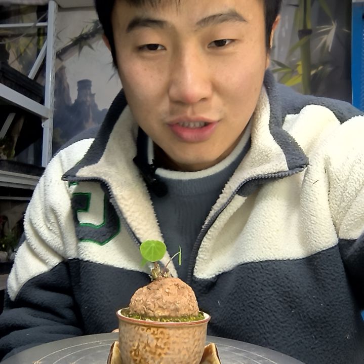 V***i中青园艺一物一拍花124