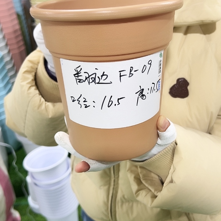 正品翻边盆口16高17白色无托8只