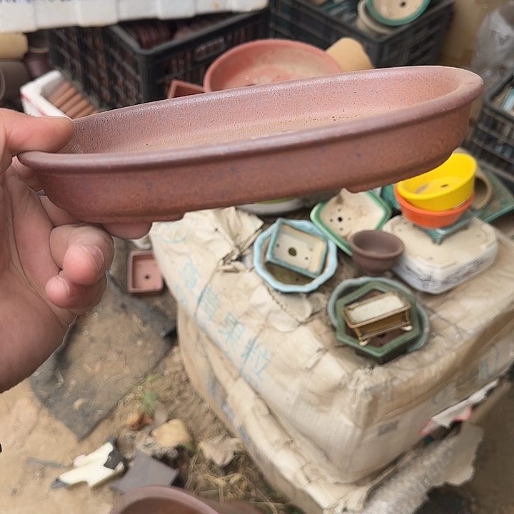 是一个集休闲农业的休闲胜地以及现代生活