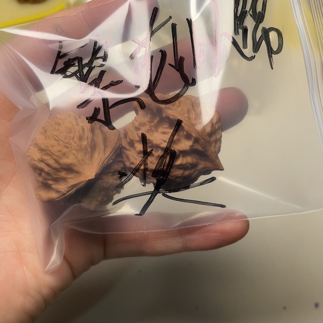 吊坠文玩核桃繁***✨淘