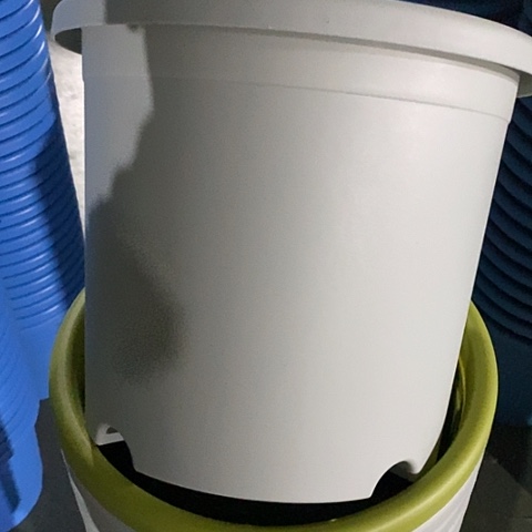 树脂四季5号灰白无托6个微瑕