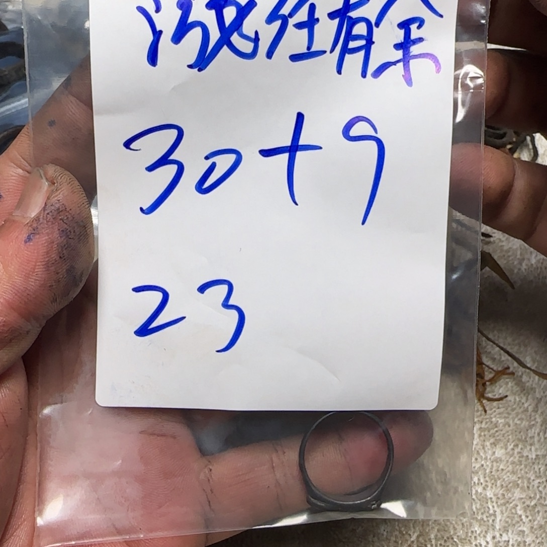 游****藏地回流。游刃有余 拍。