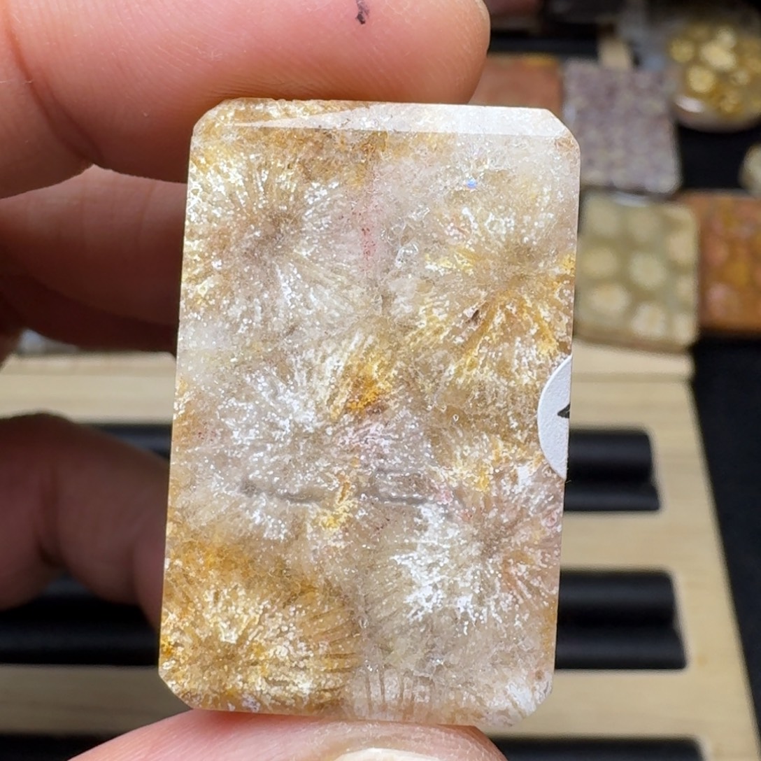 硅化玉未镶嵌纯天然色有机玉石保真色