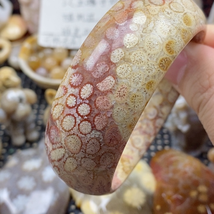 硅化珊瑚（珊瑚玉）颈饰未镶嵌