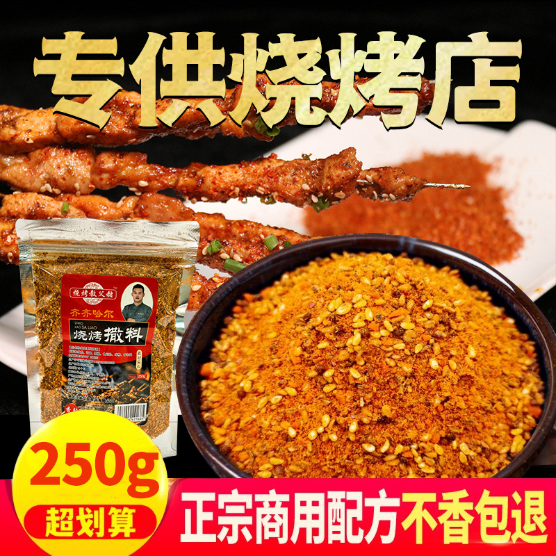 东北烧烤撒料蘸撒两用空气炸锅路边摊烧烤店串店露营烧烤两种口味