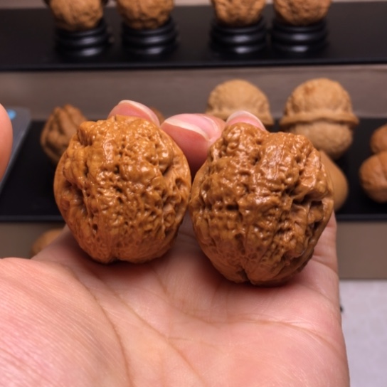 文玩核桃把件金蟾蛹18