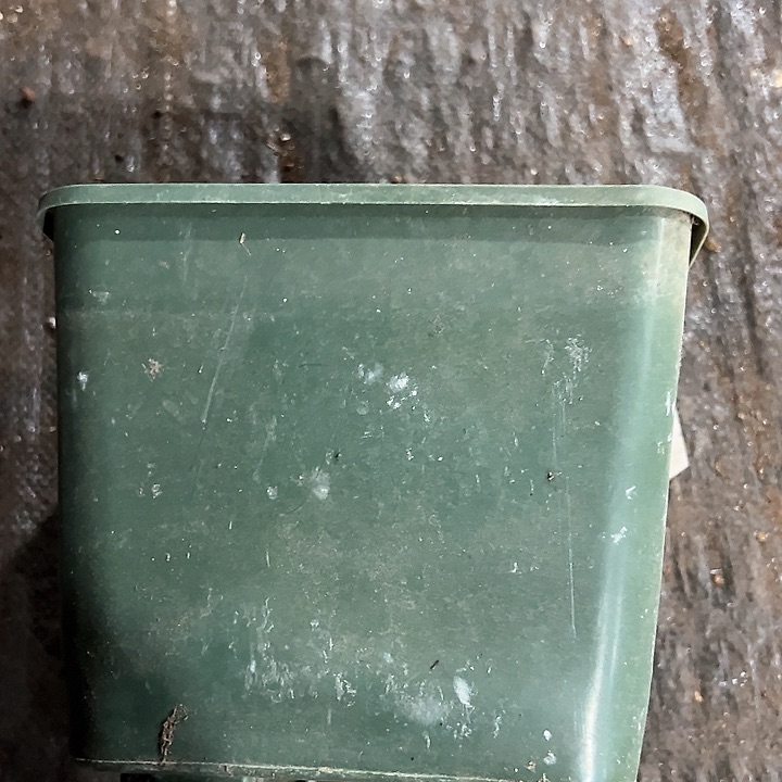 塑料口径19.5高度19绿方一组5个