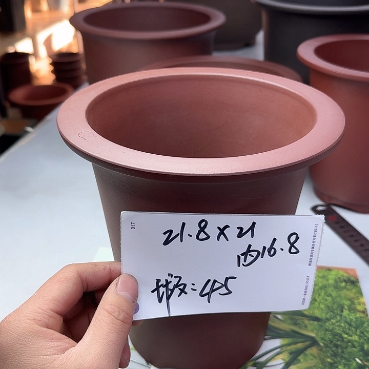 紫砂2222222222222222222