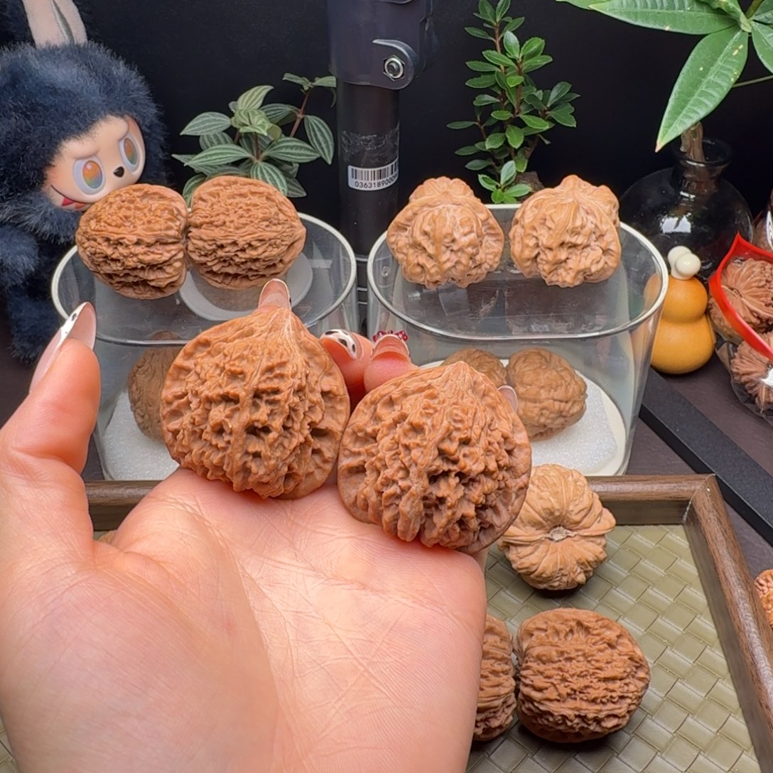 把件龙脊菩提全品满天星41