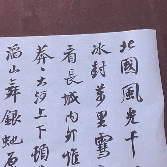 书法张建东老师书法作品