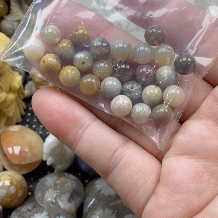 颈饰未镶嵌硅化珊瑚（珊瑚玉）