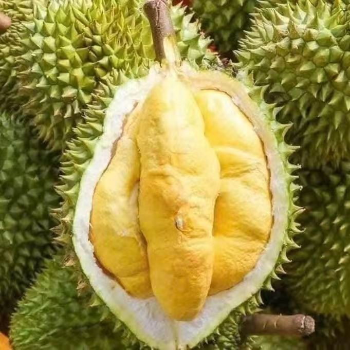 泰国干尧液氮榴莲冷冻核有一点点微大1-10斤干尧