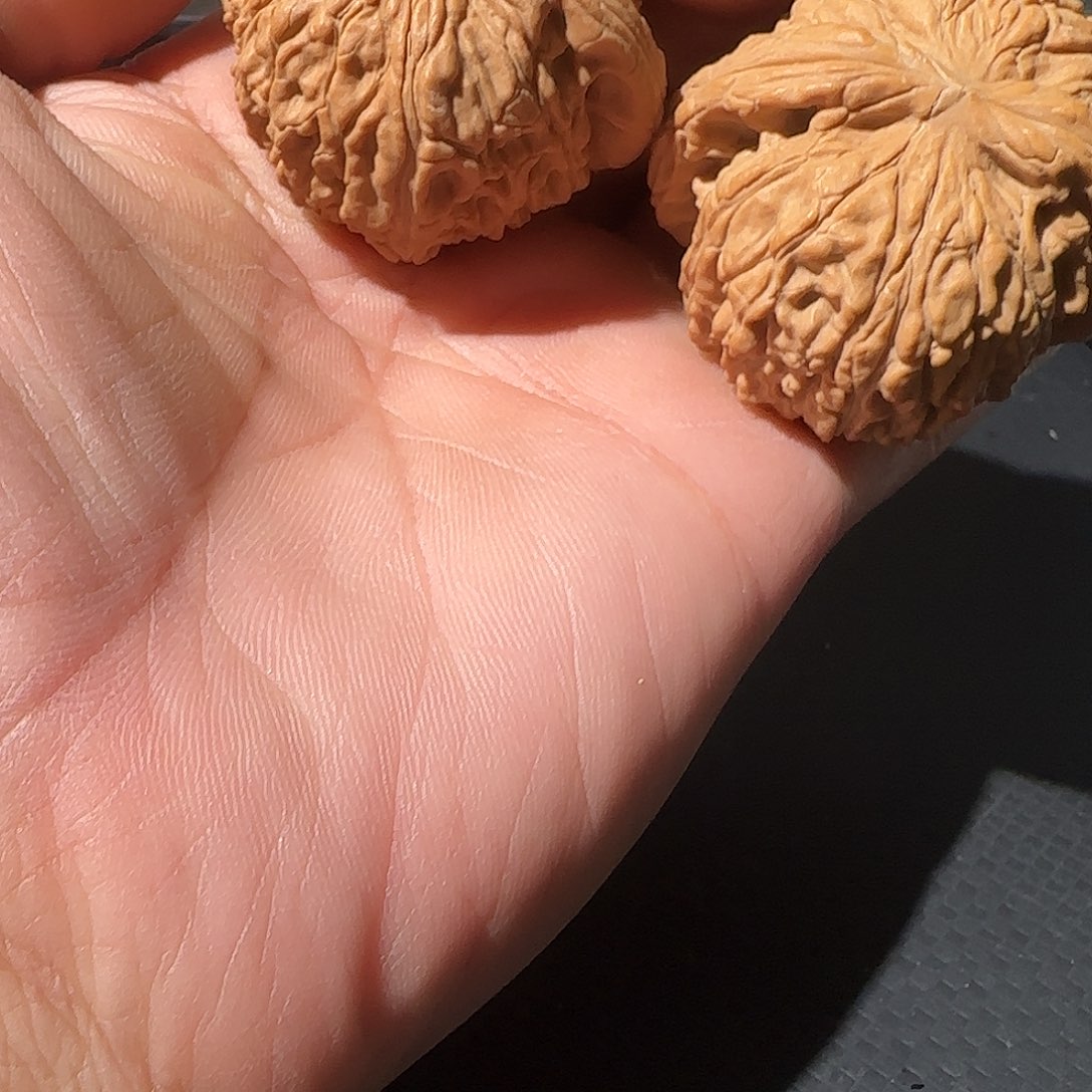 邪***格吊坠文玩核桃白狮子