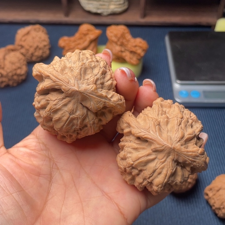 核桃54龙鼎全品无修