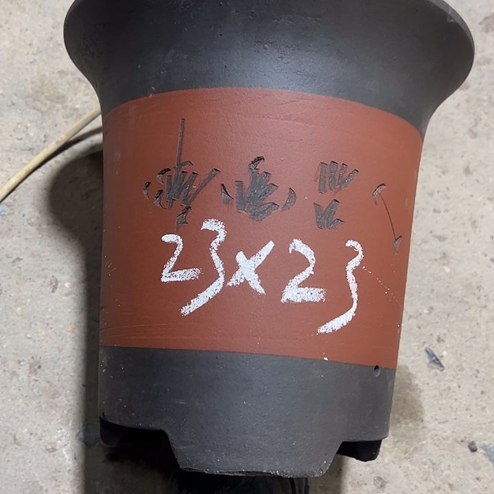 紫砂工艺厂……紫砂工艺厂……