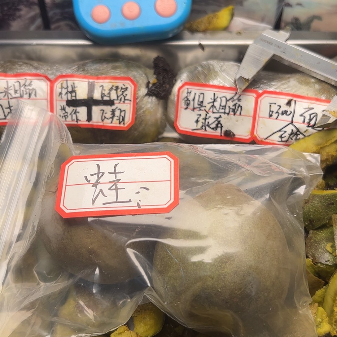 孤***子看看咯哦哦哦想我吗