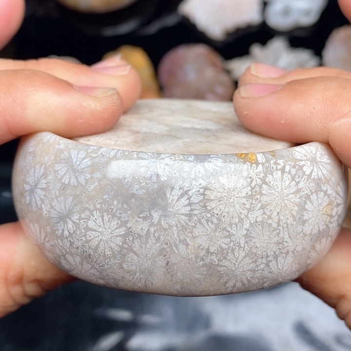 硅化珊瑚（珊瑚玉）手镯未镶嵌55