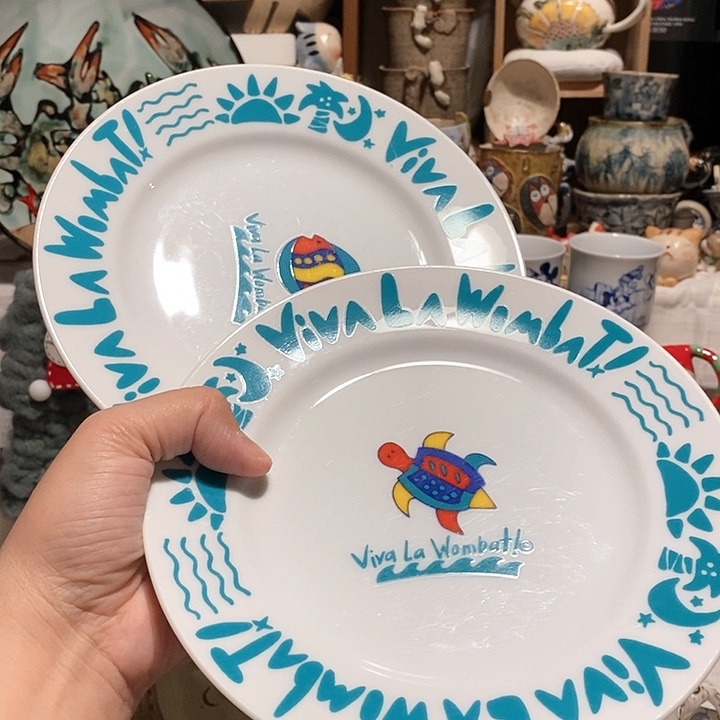 搪瓷盘子二个一起