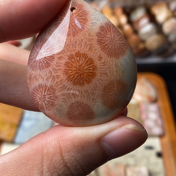 *****颈饰未镶嵌硅化珊瑚（珊瑚玉）