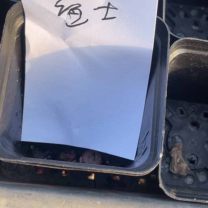 绝***师抖五。               