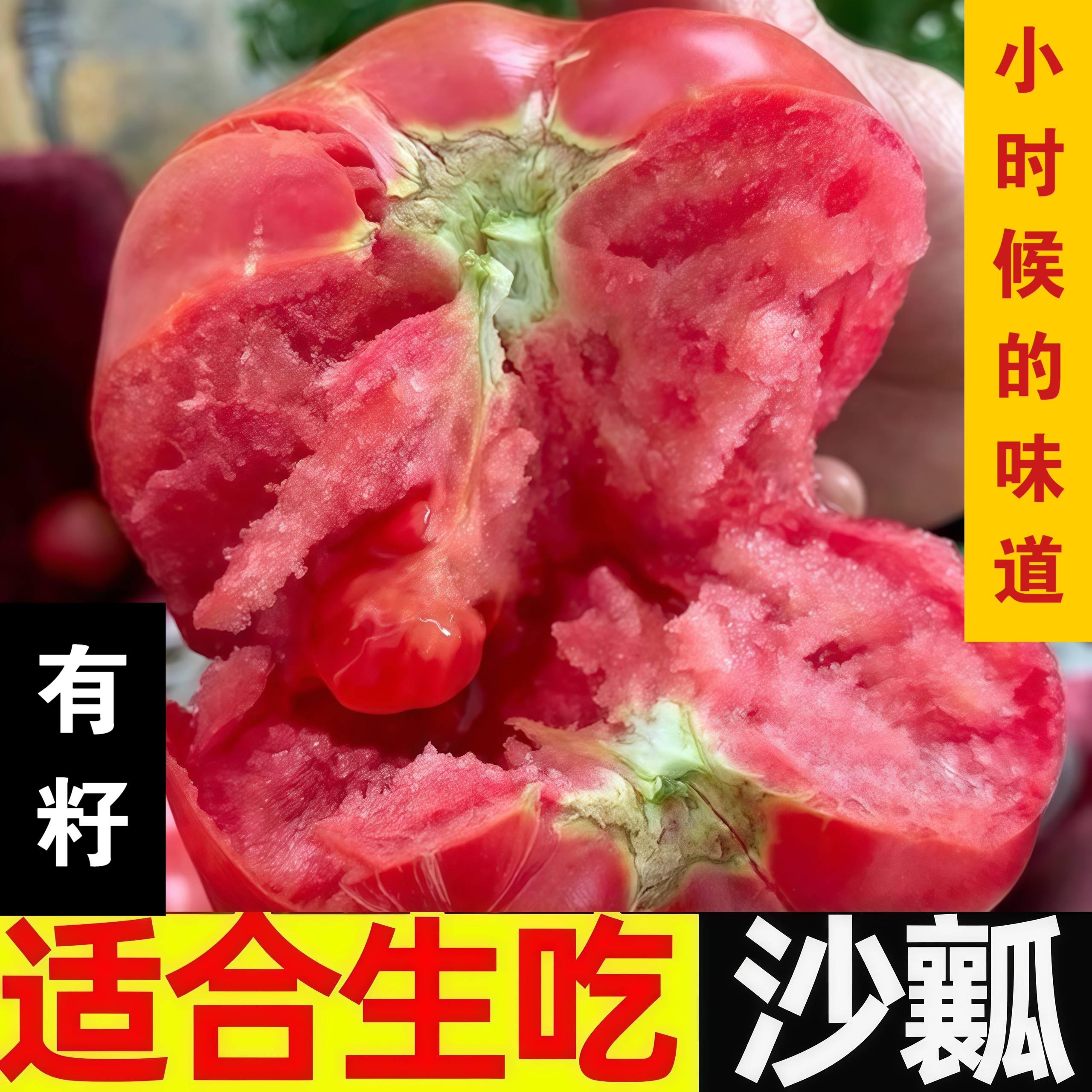 攀枝花露天沙瓤西红柿酸甜多汁生吃做菜