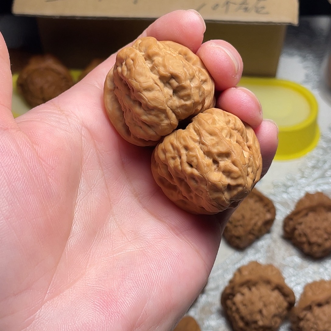 万***衡文玩核桃把件蛤蟆35