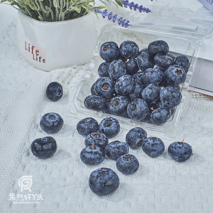 【果然好】22-24mm果王香脆甜蓝莓 脆甜香孕妇宝妈水果包邮G