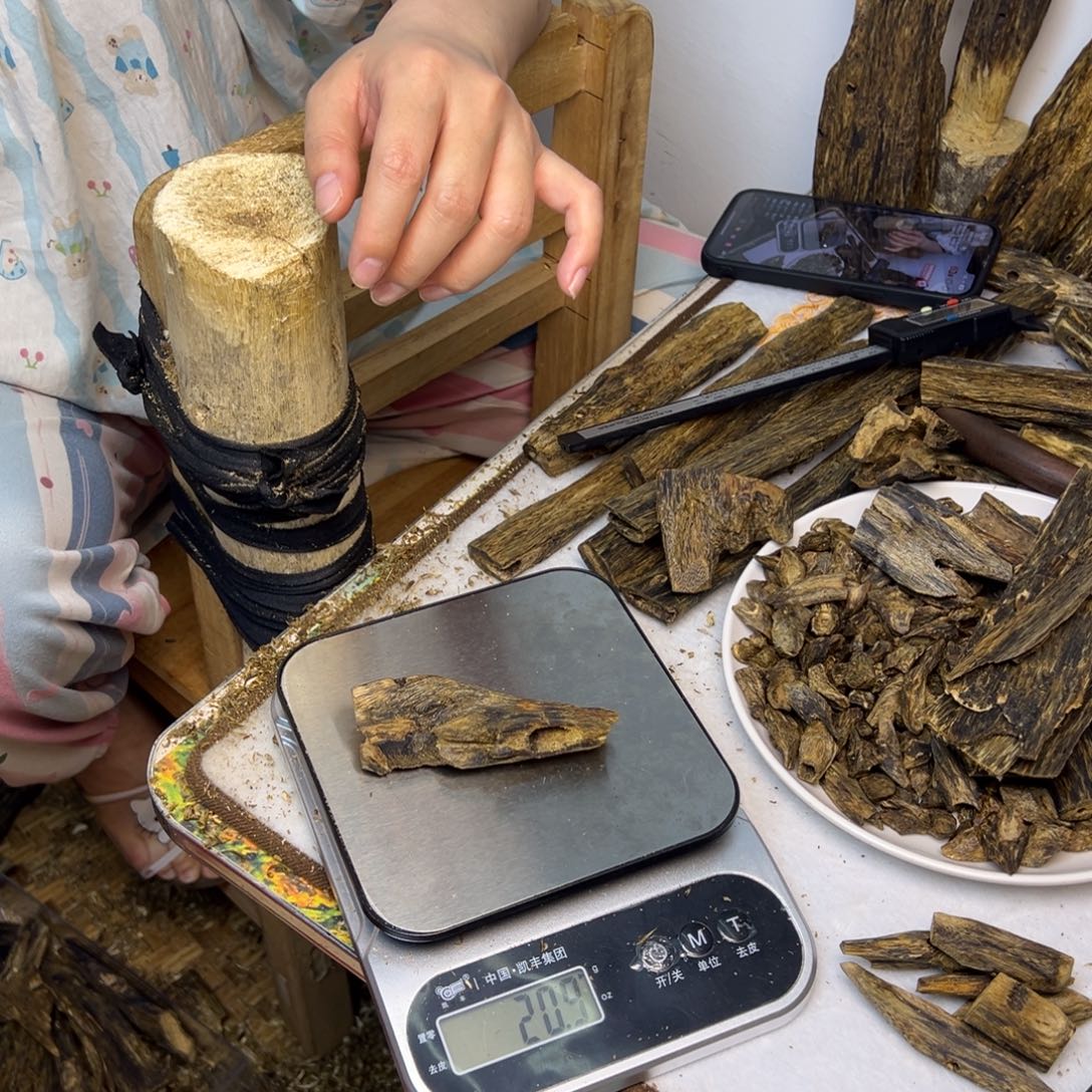 线香奇楠虫漏香20克