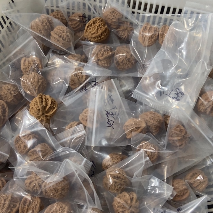 吊坠文玩核桃灯笼瑕疵